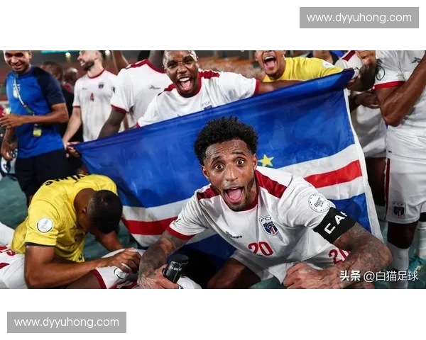 冰岛世界杯奇迹之旅激励小国足球奋起冲击世界舞台